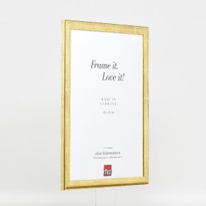 effect Holz-Bilderrahmen Profil 43 Gold 40x50 cm mit Kunstglas 0432-4050-02