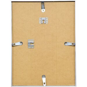 Effect Bilderrahmen Aluminium Serie 1 Museumsglas silber 50 x 65 cm