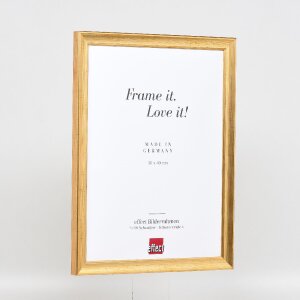 Effect Holz-Bilderrahmen Profil 41 Antikgold 23x70 cm Museumsglas