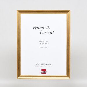 Effect Holz-Bilderrahmen Profil 41 Antikgold 25x70 cm Museumsglas