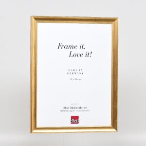 Effect Holz-Bilderrahmen Profil 41 Antikgold 50x100 cm Museumsglas