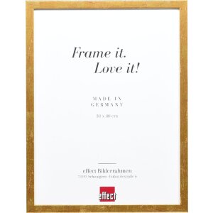 effect Bilderrahmen Profil 51 antikgold 30x40 cm mit...
