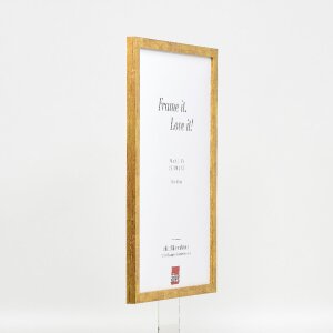 effect Bilderrahmen Profil 51 antikgold 30,5x91,5 cm mit Museumsglas