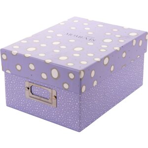 Goldbuch Fotobox Paris 700 Fotos 10x15 cm Aufbewahrungsbox mit Registerkarten