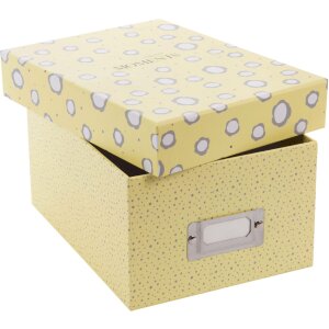 Goldbuch Fotobox Paris 700 Fotos 10x15 cm Aufbewahrungsbox mit Registerkarten