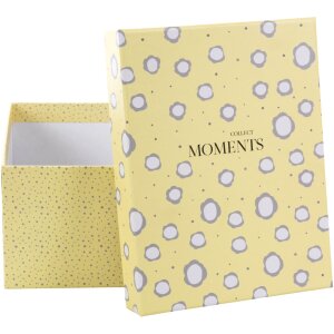 Goldbuch Fotobox Paris 700 Fotos 10x15 cm Aufbewahrungsbox mit Registerkarten