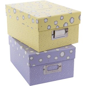 Goldbuch Fotobox Paris 700 Fotos 10x15 cm Aufbewahrungsbox mit Registerkarten