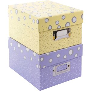 Goldbuch Fotobox Paris 700 Fotos 10x15 cm Aufbewahrungsbox mit Registerkarten