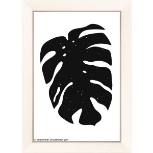 Walther Holzrahmen Liv Monstera 10x15 bis 30x40 cm