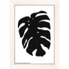 Walther Holzrahmen Liv Monstera 10x15 bis 30x40 cm