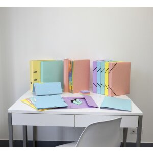 Exacompta Ringbuch A4 2 Ringe D-Form 25 mm Aquarel Pastellfarben