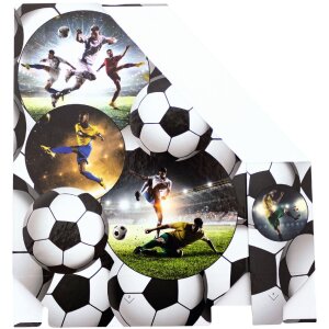 HERMA 19716 Stehsammler A4 Karton Fußball-Design Griffloch