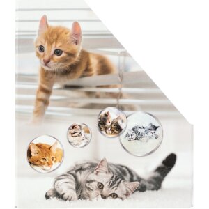 HERMA 19717 Stehsammler A4 Karton Katzen-Design Griffloch