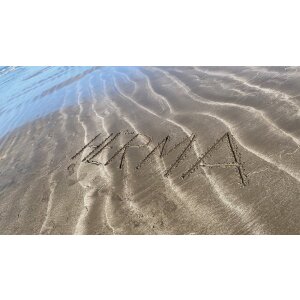 HERMA 20004 Universaltasche Etui 23x11cm Grün Reißverschluss über Eck