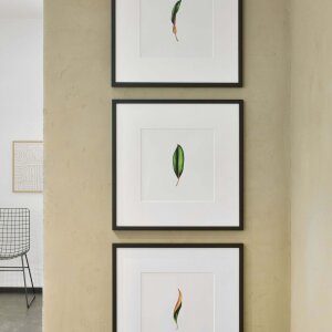 Nielsen Holz-Wechselrahmen Quadrum 50x50 cm weiß deckend