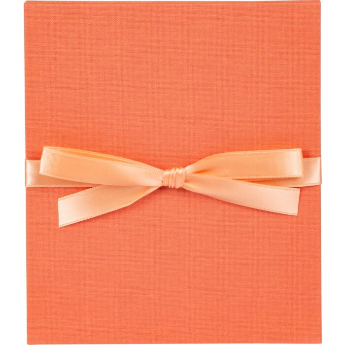 Goldbuch Leporello Bella Vista salmon 10 фото 13x18 см