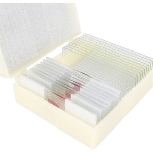 Konus Preparate Set Pathological Human Tissue 2 - 10...