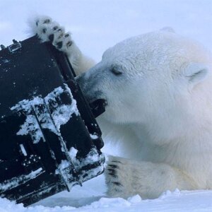 Explorer Cases 2717HL.B Транспортировочный кейс с пенопластом черный 276x200x170 мм