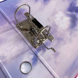 Goldbuch Motiv-Ordner Diana 2-Ringmechanik DIN A4