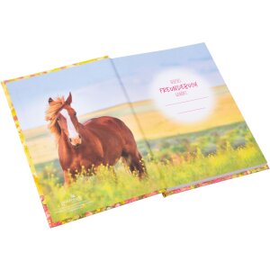 Goldbuch Freundebuch Akira 15x21 cm 88 illustrierte Seiten