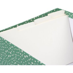 Goldbuch Fotobox Florentine für 700 Fotos 10x15 cm mit Registerkarten