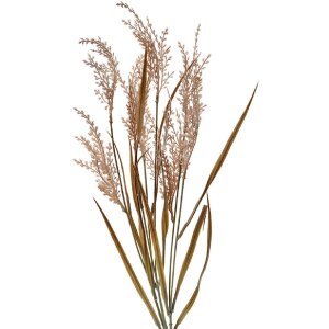 Clayre & Eef 5PL0057 Dekoration Zweig 4x4x88 cm Braun