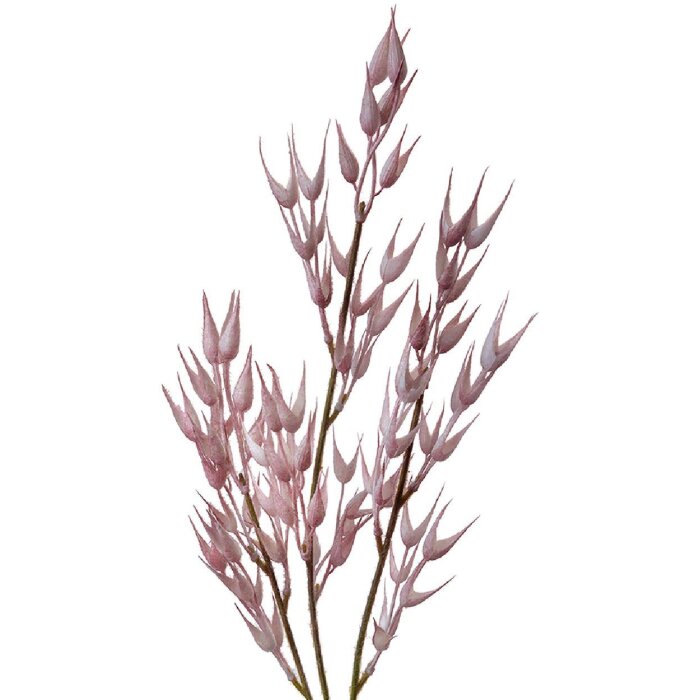 Clayre & Eef 5PL0058 Dekoration Zweig 6x6x72 cm Rosa