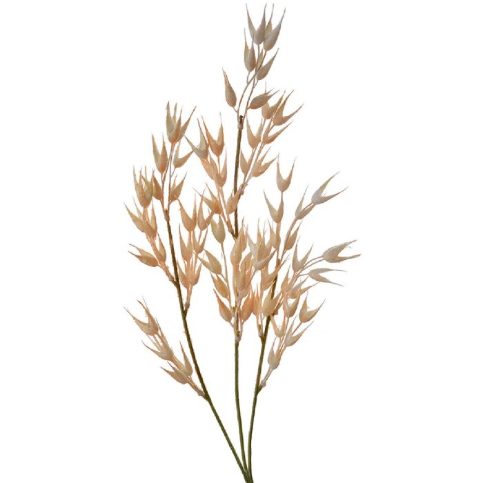 Clayre & Eef 5PL0059 Dekoration Zweig 6x6x72 cm Braun