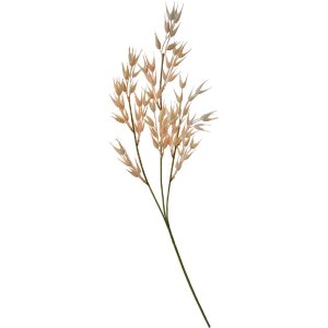 Clayre & Eef 5PL0059 Dekoration Zweig 6x6x72 cm Braun