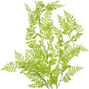 Clayre & Eef 5PL0070 Deko-Zweig Naturgrün...