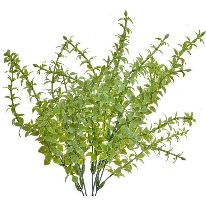 Clayre & Eef 6PL0254 Декоративная ветка зеленая 10x10x40 см