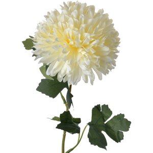 Clayre & Eef 6PL0271 Künstliche Blume Creme...