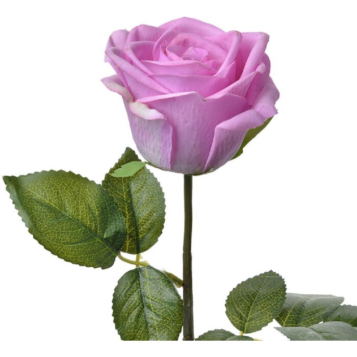 Clayre & Eef 6PL0273 Künstliche Blume Lila 8x8x44 cm