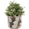 Clayre & Eef 6TE0516L Blumentopf Terrakotta Beige Grün Ø 17x15 cm Landhausstil