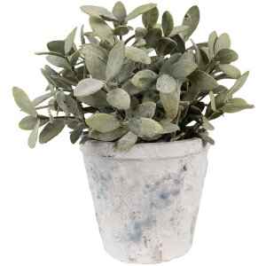 Clayre & Eef 6TE0520M Blumentopf Terrakotta...