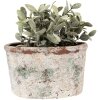 Clayre & Eef 6TE0534L Blumentopf 21x13x12 cm