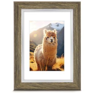 Hama Kunststoffrahmen Lima Oliv 15x20 cm