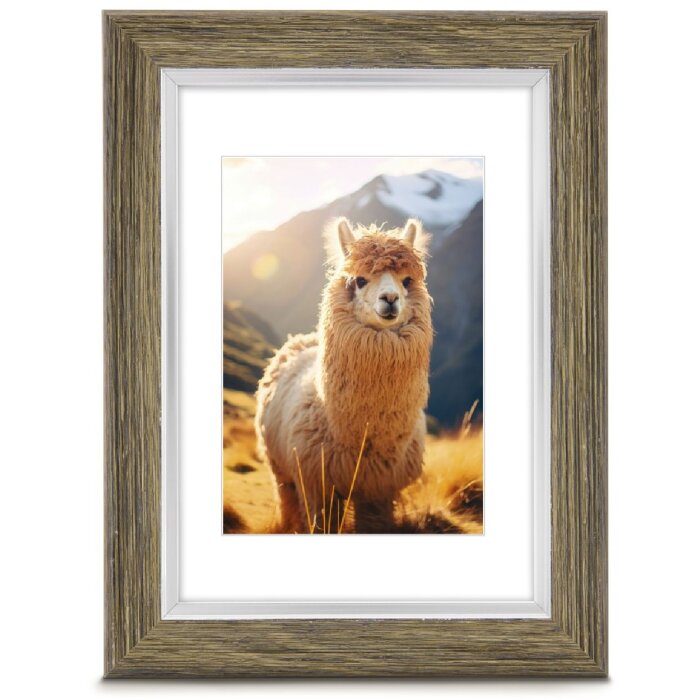 Hama Kunststoffrahmen Lima Oliv 30x40 cm