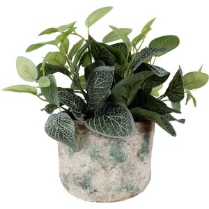 Clayre & Eef 6TE0530L Blumentopf Ø 18x15 cm...