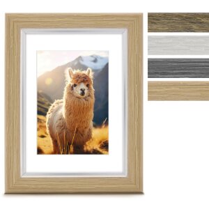 Hama Kunststoffrahmen Lima 10x15 cm bis 40x50 cm...