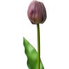 Clayre & Eef 6PL0312 Искусственный цветок Тюльпан фиолетовый 4x4x32 см