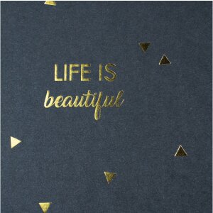 Exacompta 16452E Spiralalbum 50 Seiten schwarz 32x22cm LIFE Blau