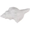 Clayre & Eef 65733 Türknopf Muschel Weiß 10x5x6 cm Vintage Stil Polyresin