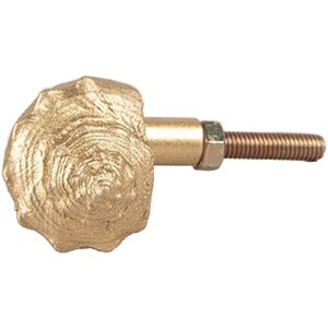 Clayre Eef Türknauf Muschel 5x3x3 cm Gold Kunststoff...