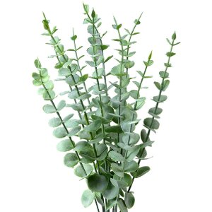 Clayre & Eef 6PL0278 Dekoration Zweig Grün...