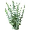 Clayre & Eef 6PL0278 Dekoration Zweig Grün 10x8x50 cm Kunststoff