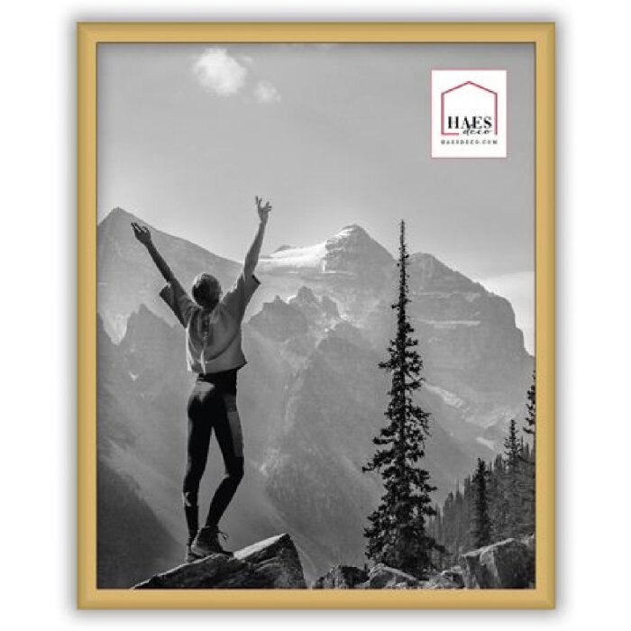 Haes Deco EF12G Easy Frame Gold Kunststoffrahmen 20x25 cm