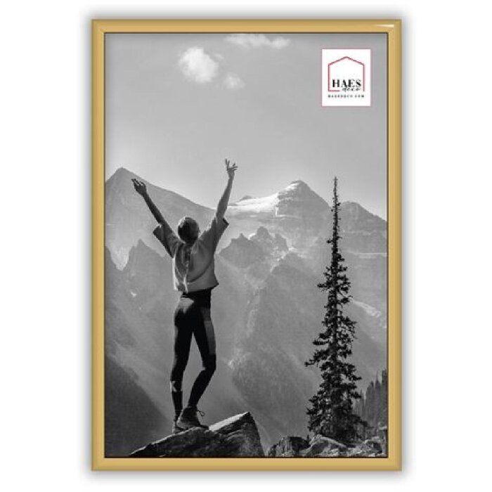 Haes Deco EF4G Easy Frame Kunststoff-Fotorahmen Gold 20x30 cm