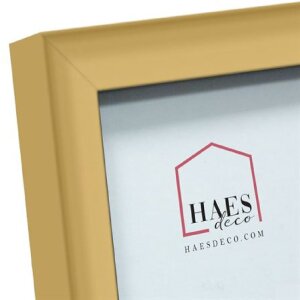 Haes Deco EF4G Easy Frame Kunststoff-Fotorahmen Gold 20x30 cm