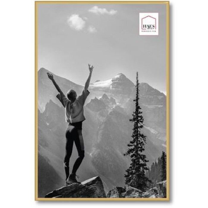 Haes Deco Kunststoff-Fotorahmen EF9G Easy Frame Gold 40x60 cm MDF Rückwand